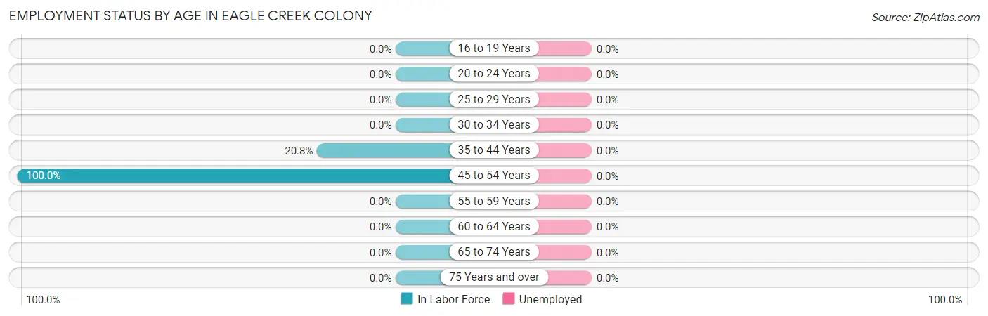 Employment Status by Age in Eagle Creek Colony