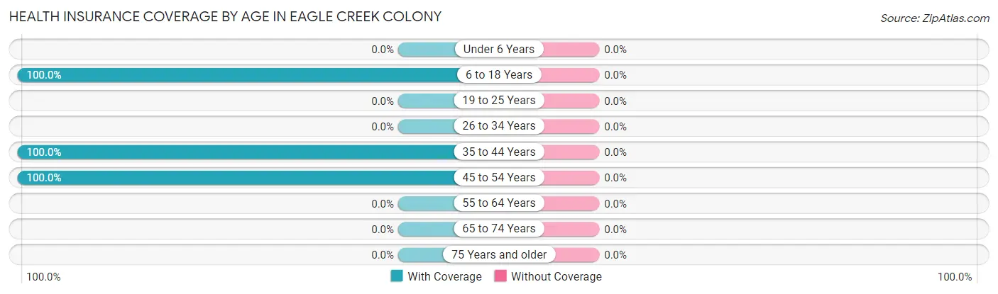 Health Insurance Coverage by Age in Eagle Creek Colony