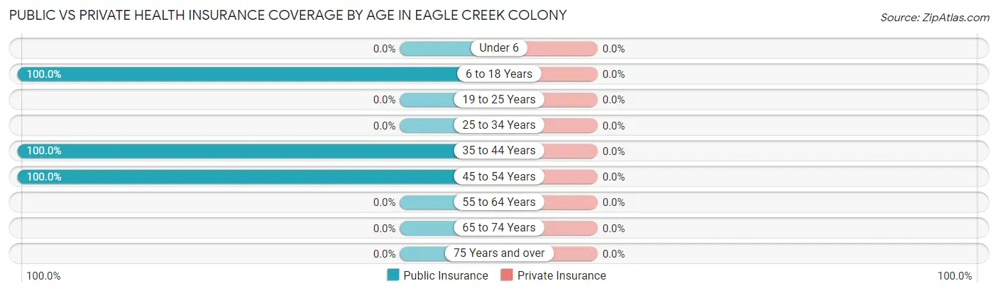 Public vs Private Health Insurance Coverage by Age in Eagle Creek Colony