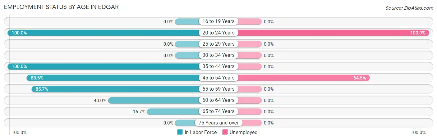 Employment Status by Age in Edgar