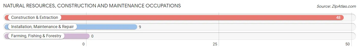 Natural Resources, Construction and Maintenance Occupations in Ennis