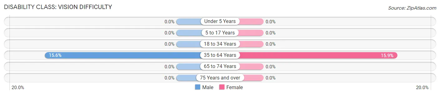 Disability in Ennis: <span>Vision Difficulty</span>