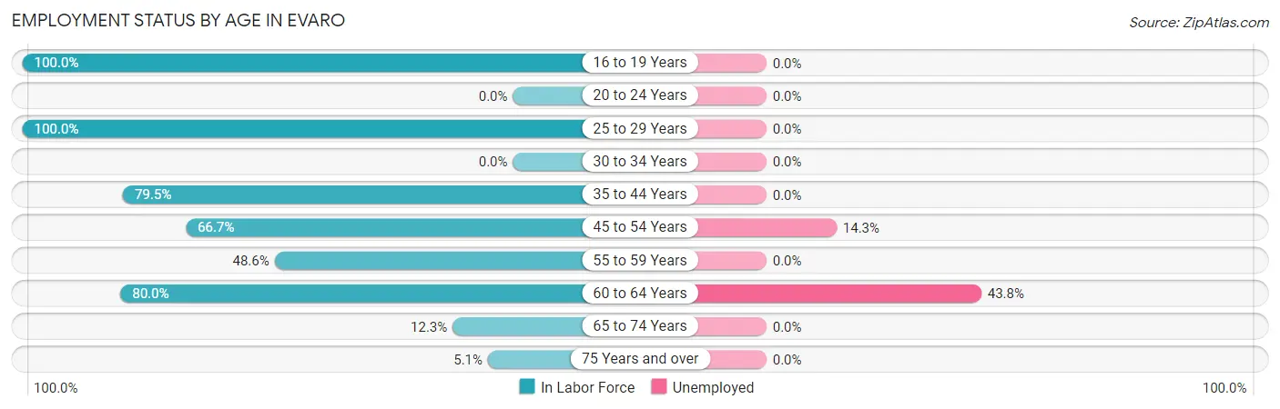 Employment Status by Age in Evaro