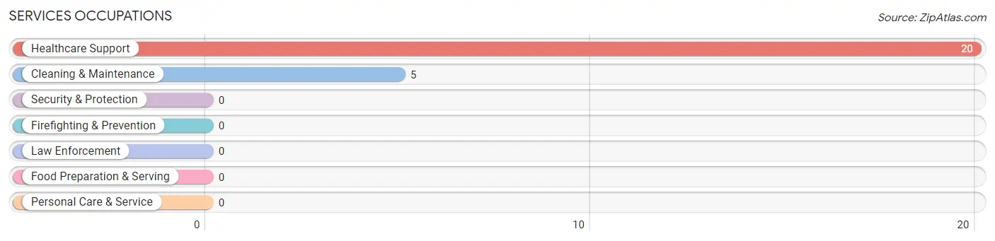 Services Occupations in Finley Point