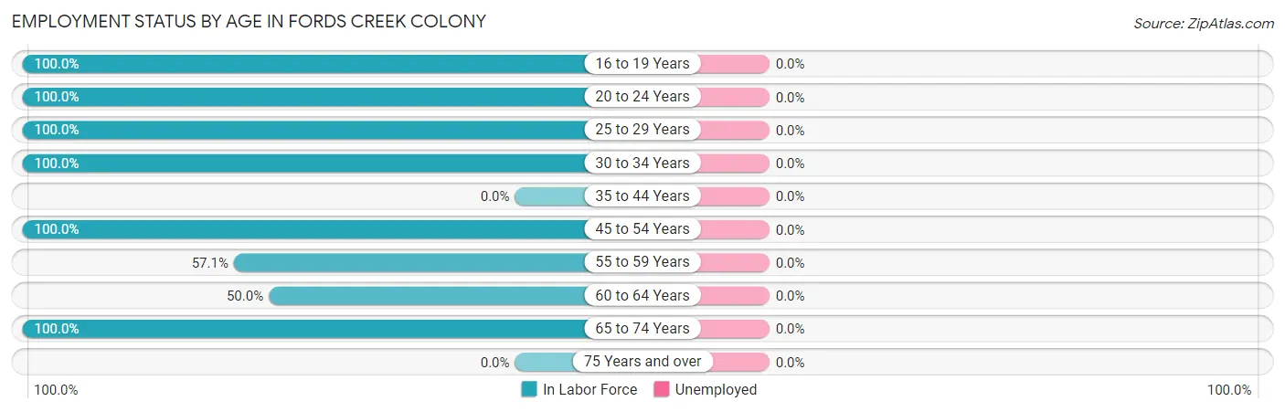 Employment Status by Age in Fords Creek Colony