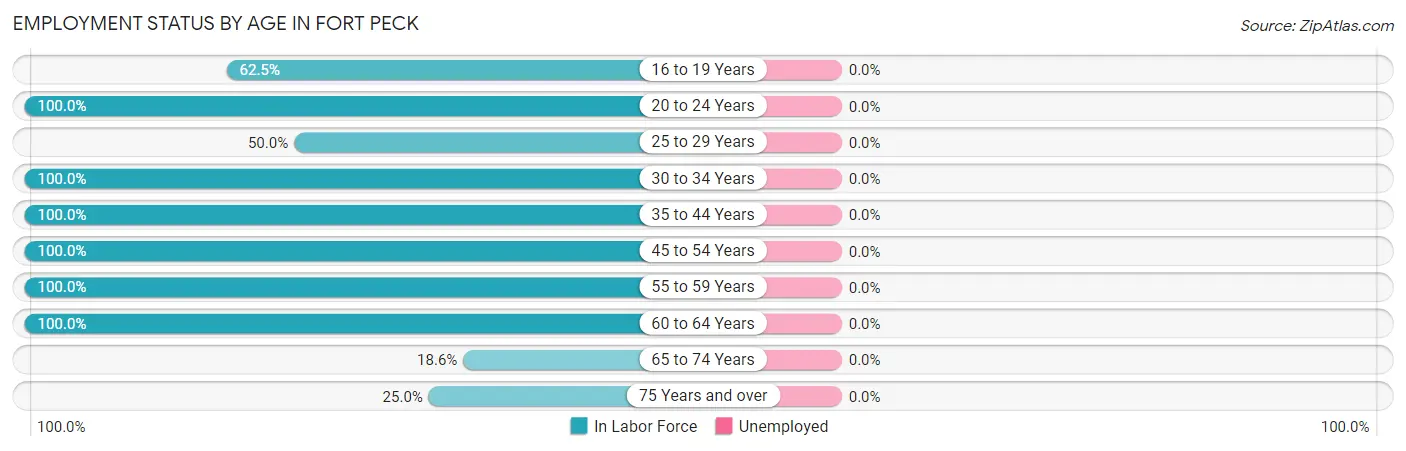 Employment Status by Age in Fort Peck