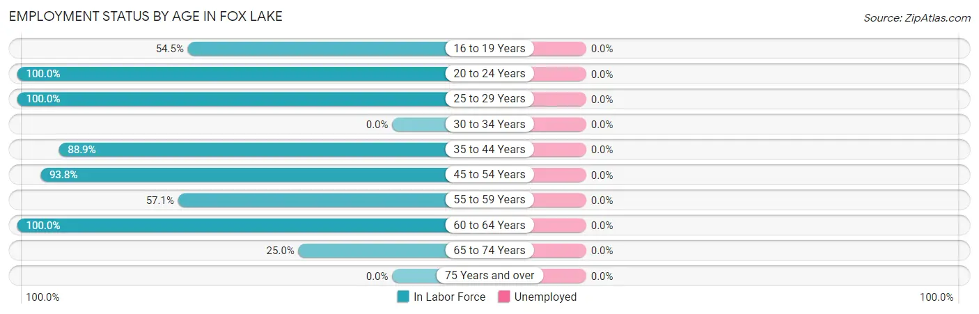 Employment Status by Age in Fox Lake