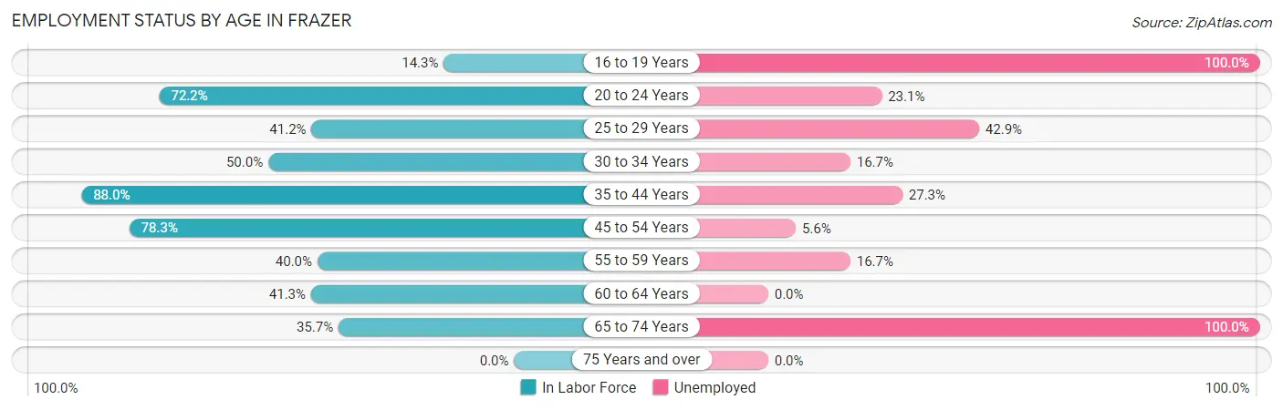 Employment Status by Age in Frazer