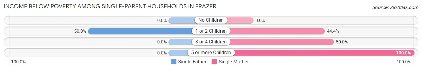 Income Below Poverty Among Single-Parent Households in Frazer