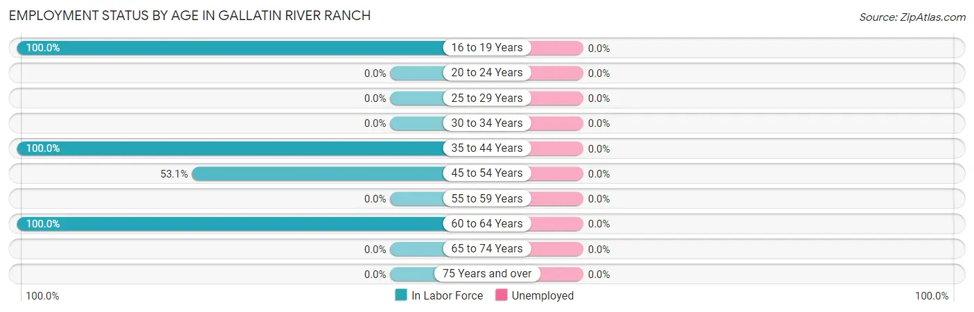 Employment Status by Age in Gallatin River Ranch