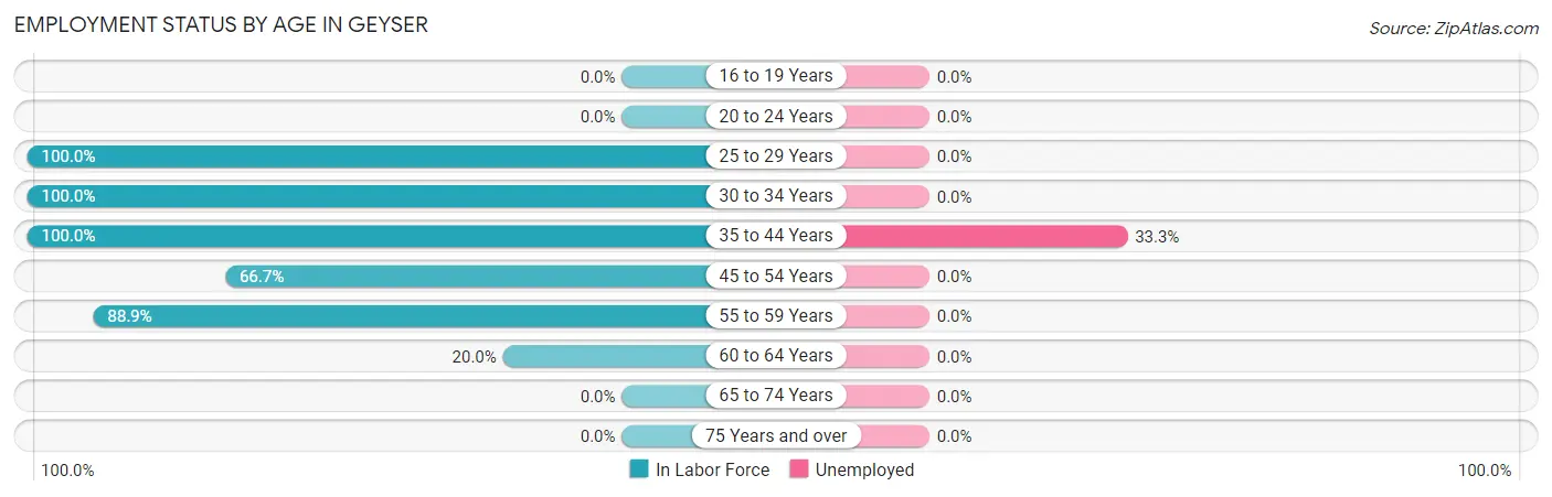 Employment Status by Age in Geyser