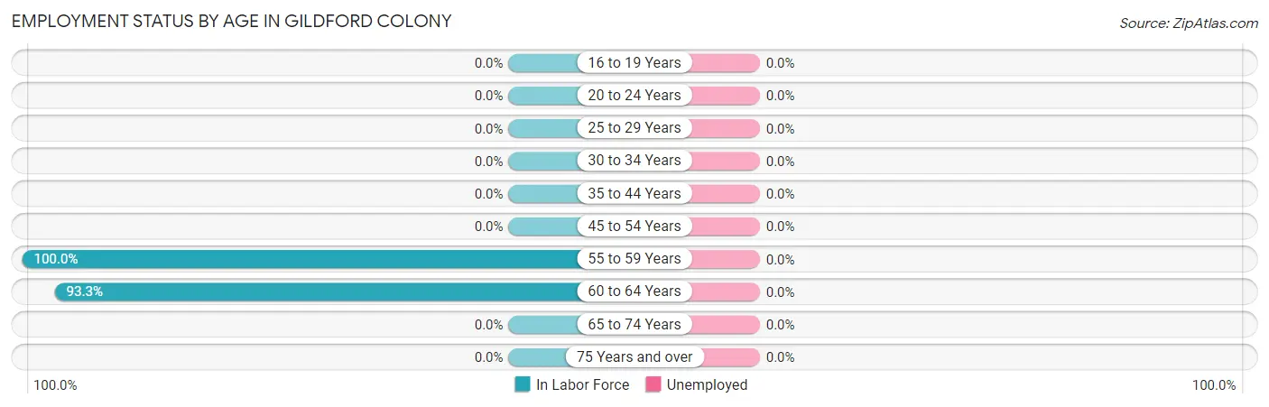 Employment Status by Age in Gildford Colony