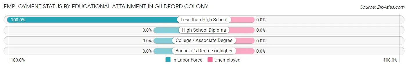 Employment Status by Educational Attainment in Gildford Colony