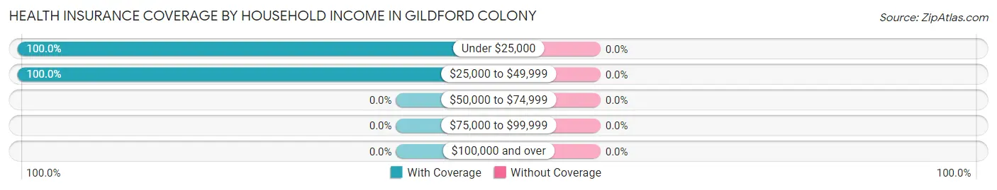 Health Insurance Coverage by Household Income in Gildford Colony