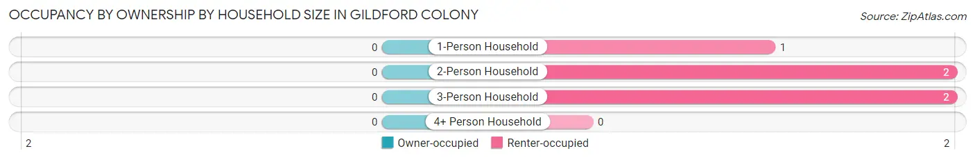 Occupancy by Ownership by Household Size in Gildford Colony