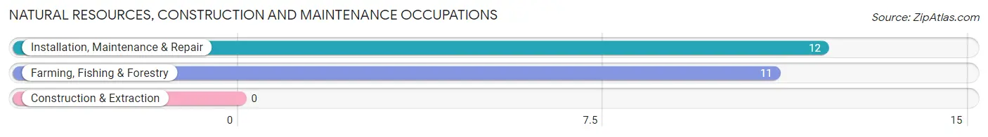 Natural Resources, Construction and Maintenance Occupations in Gildford