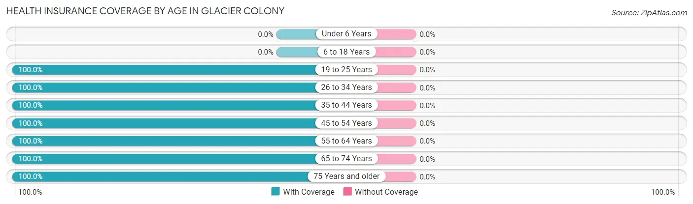 Health Insurance Coverage by Age in Glacier Colony