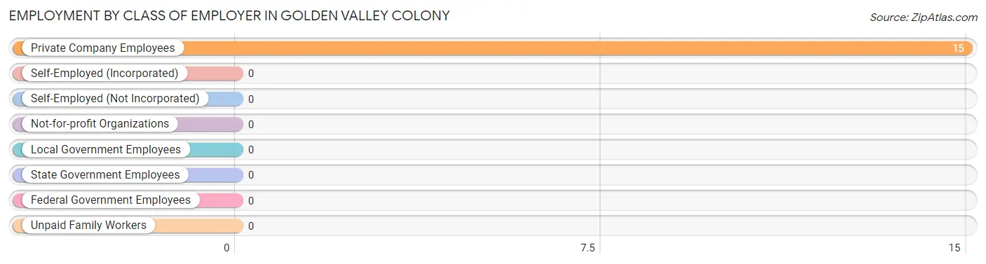 Employment by Class of Employer in Golden Valley Colony