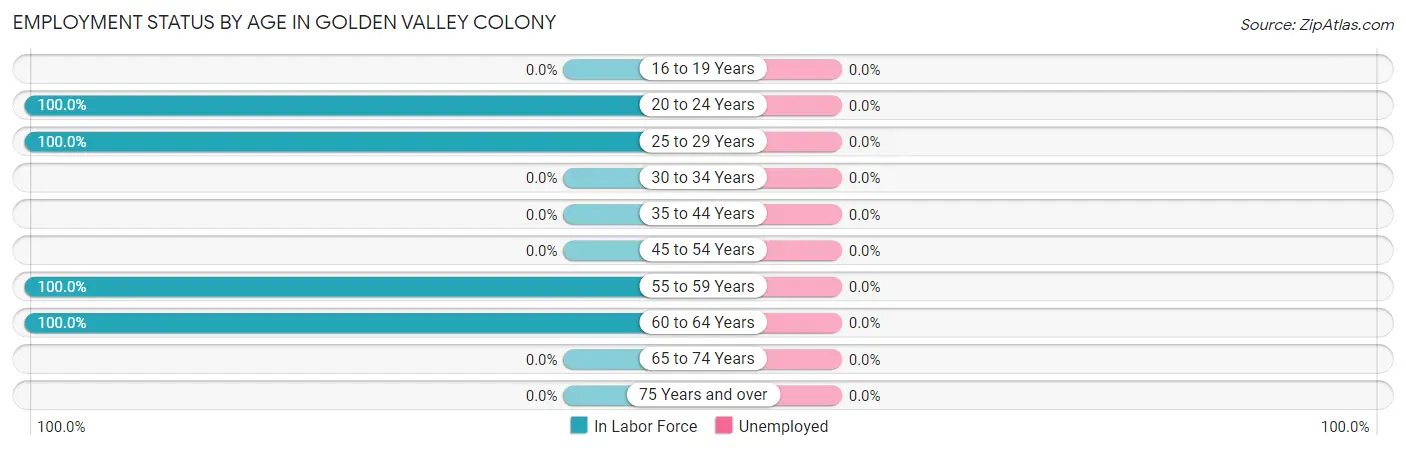 Employment Status by Age in Golden Valley Colony