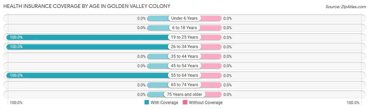 Health Insurance Coverage by Age in Golden Valley Colony