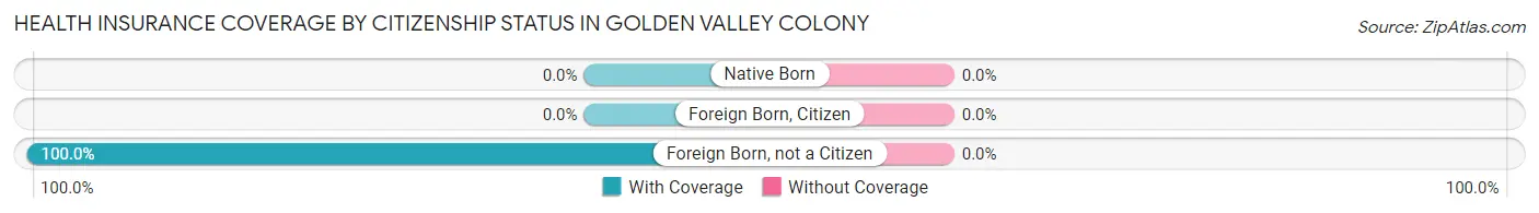 Health Insurance Coverage by Citizenship Status in Golden Valley Colony