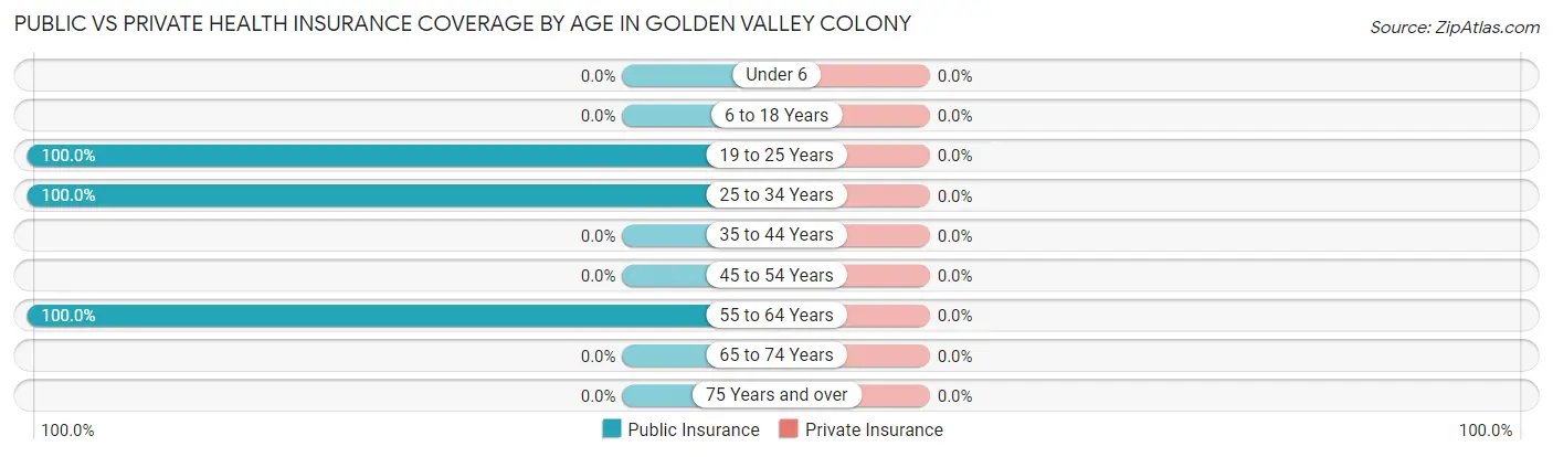 Public vs Private Health Insurance Coverage by Age in Golden Valley Colony