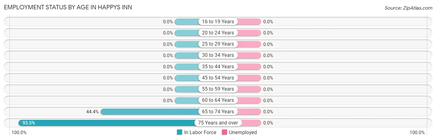 Employment Status by Age in Happys Inn