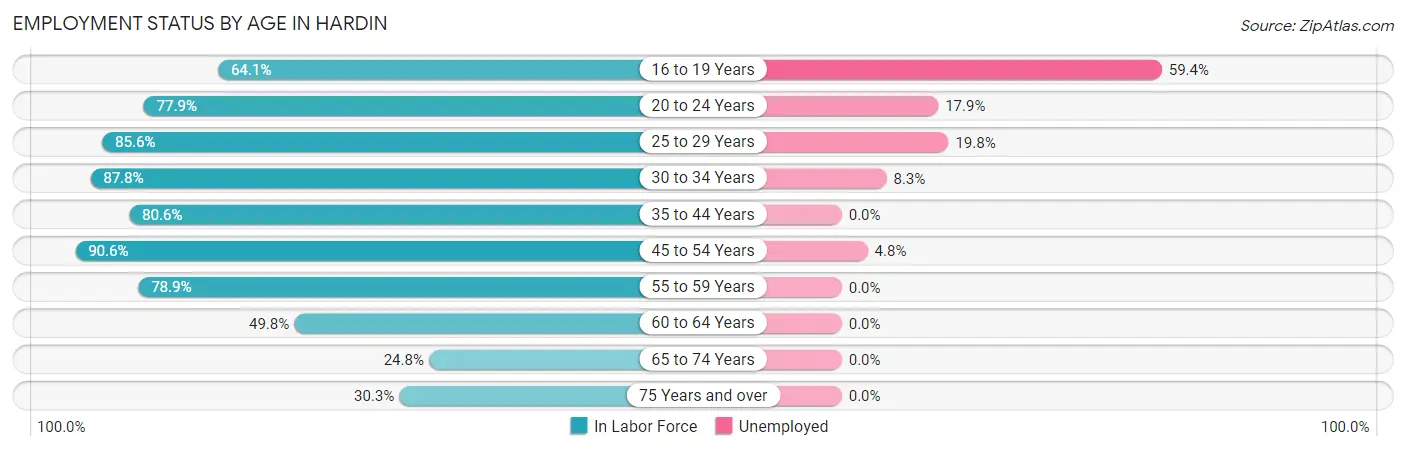 Employment Status by Age in Hardin