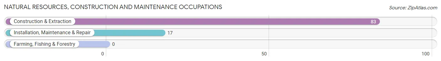 Natural Resources, Construction and Maintenance Occupations in Hardin