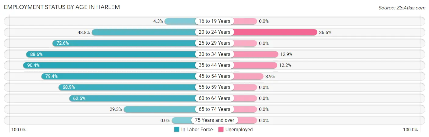 Employment Status by Age in Harlem