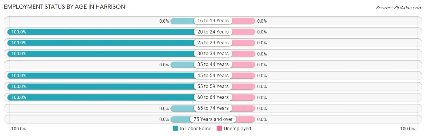 Employment Status by Age in Harrison