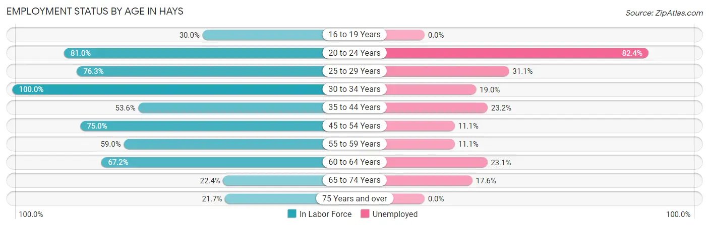 Employment Status by Age in Hays