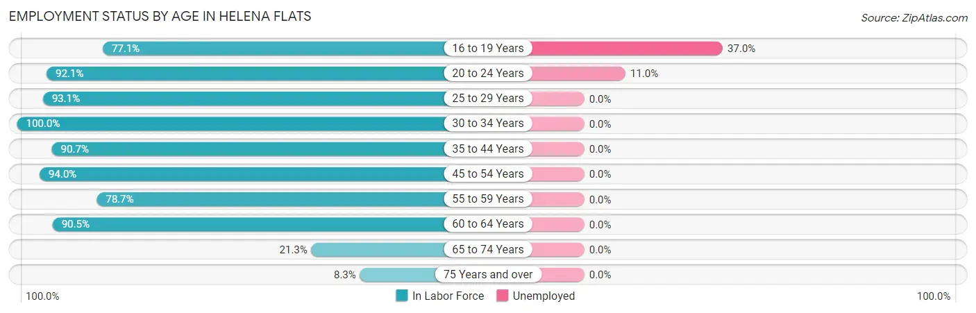 Employment Status by Age in Helena Flats
