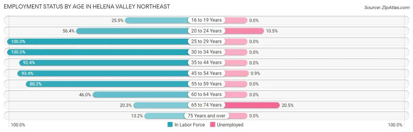 Employment Status by Age in Helena Valley Northeast