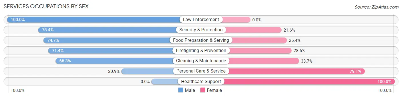 Services Occupations by Sex in Helena Valley Southeast