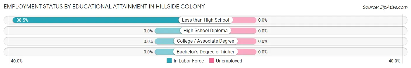 Employment Status by Educational Attainment in Hillside Colony