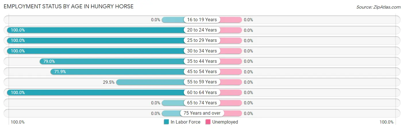 Employment Status by Age in Hungry Horse