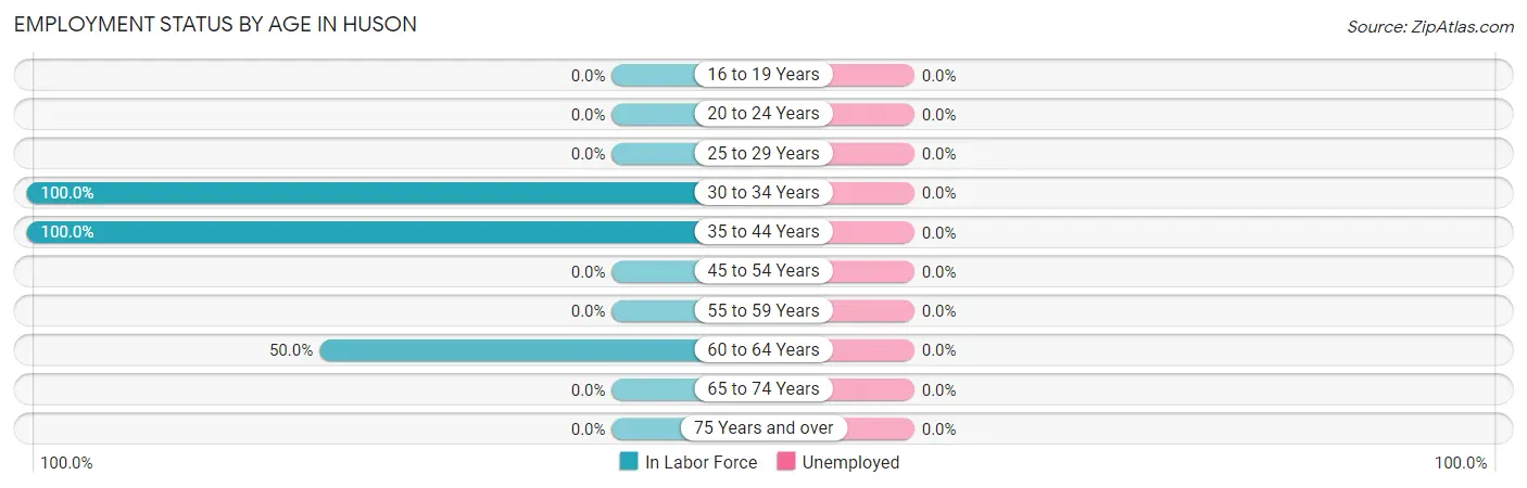 Employment Status by Age in Huson