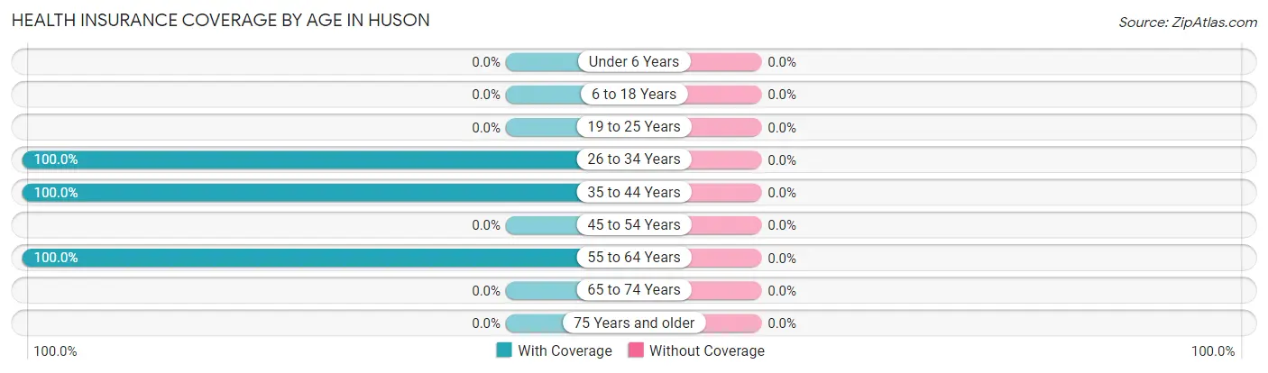 Health Insurance Coverage by Age in Huson