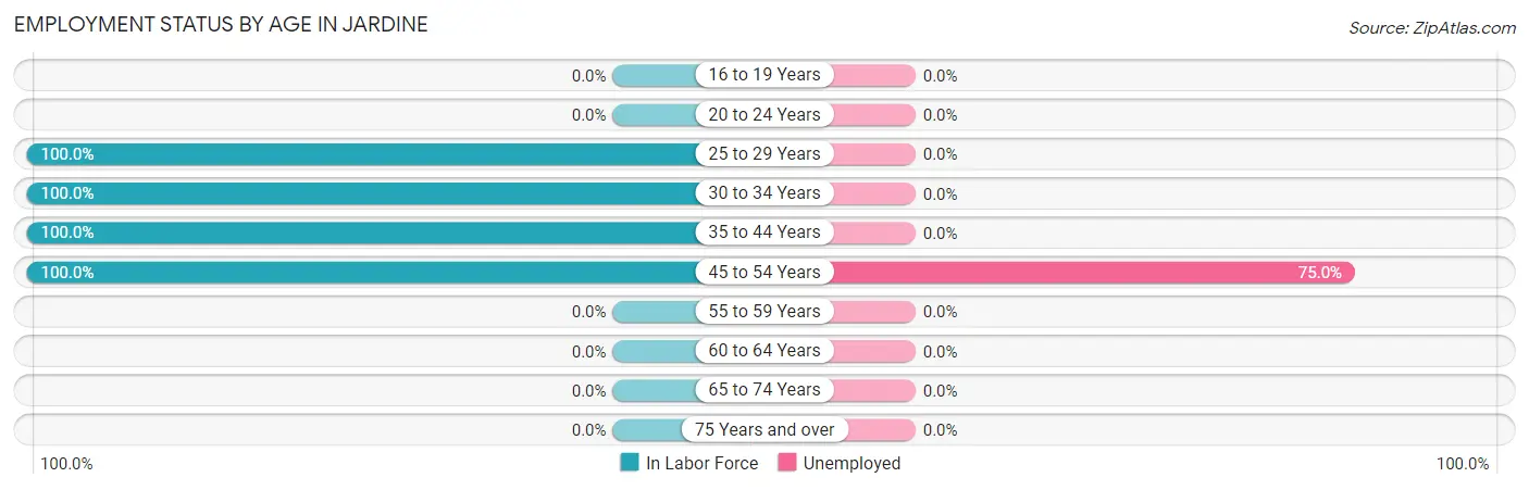 Employment Status by Age in Jardine