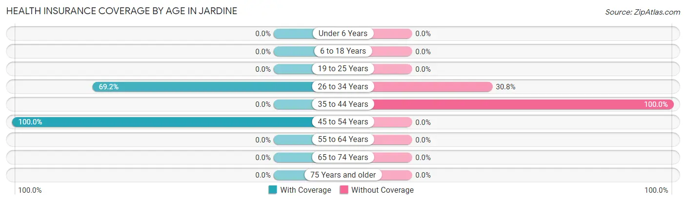 Health Insurance Coverage by Age in Jardine