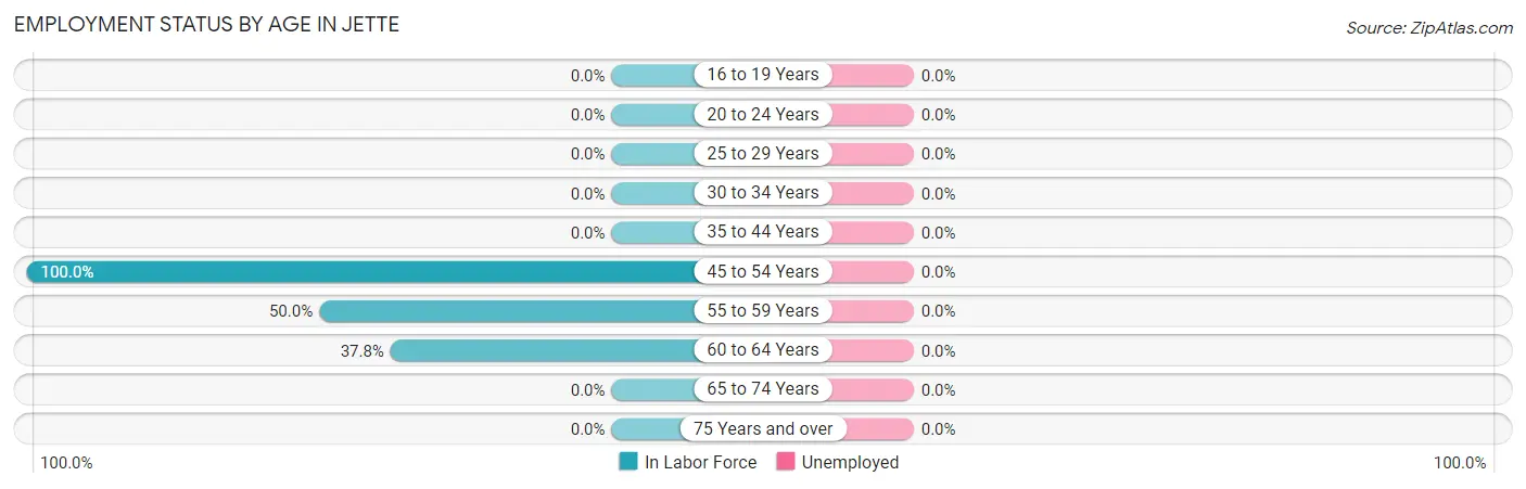 Employment Status by Age in Jette