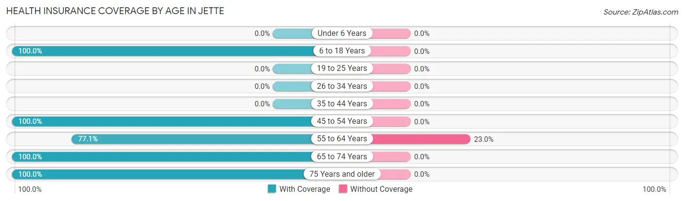 Health Insurance Coverage by Age in Jette