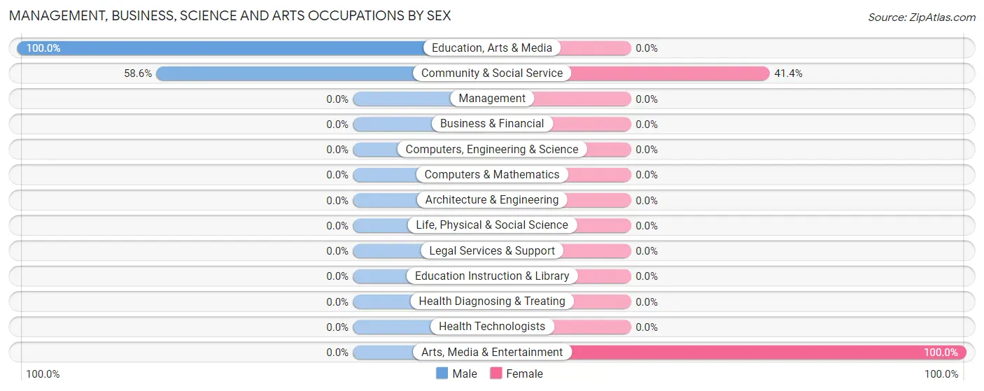 Management, Business, Science and Arts Occupations by Sex in Jette
