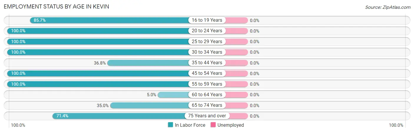 Employment Status by Age in Kevin