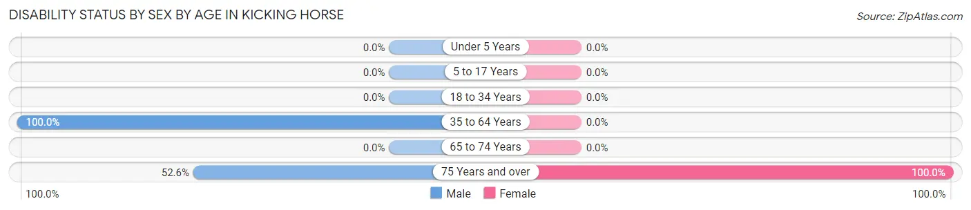 Disability Status by Sex by Age in Kicking Horse