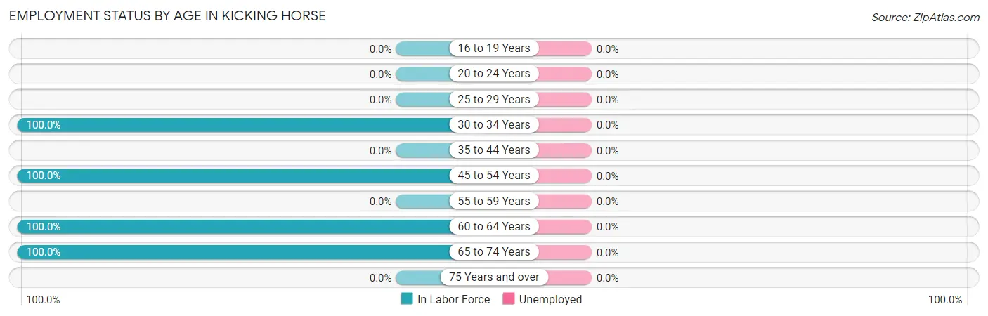 Employment Status by Age in Kicking Horse