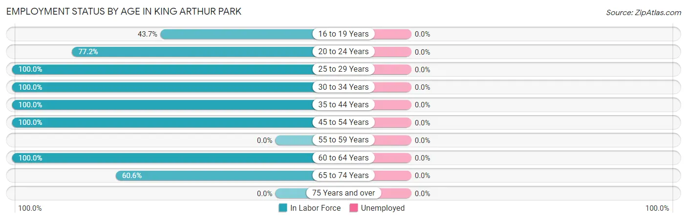 Employment Status by Age in King Arthur Park