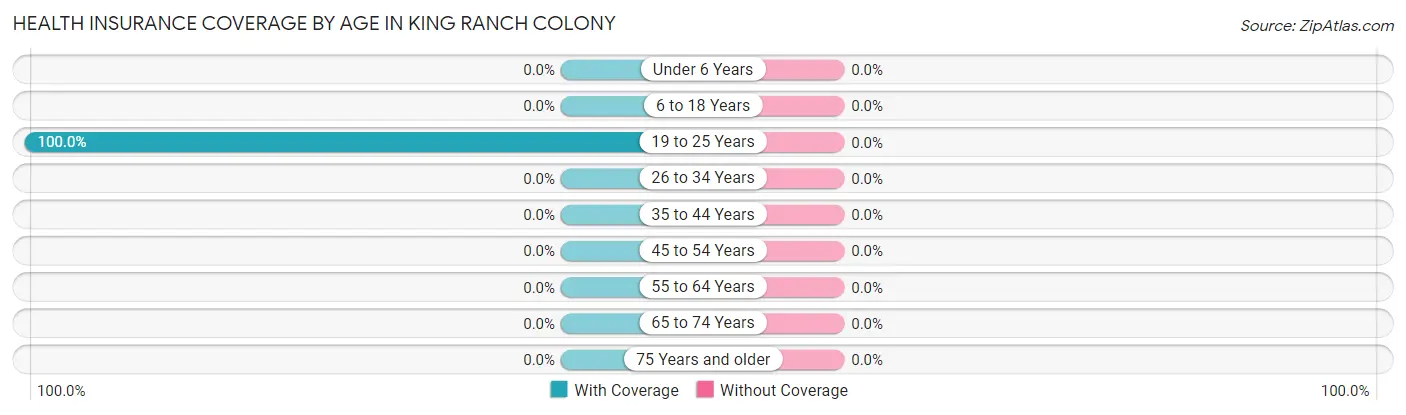 Health Insurance Coverage by Age in King Ranch Colony