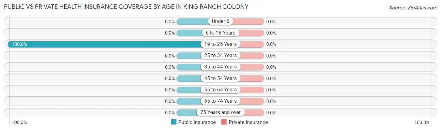 Public vs Private Health Insurance Coverage by Age in King Ranch Colony